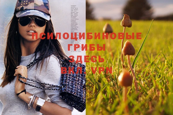 стафф Армянск