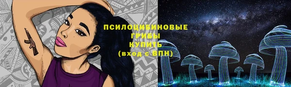 стафф Армянск