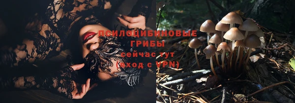 тгк Аркадак