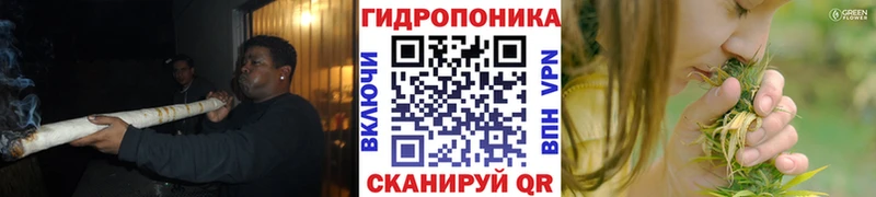 Конопля тримм  Кадников 